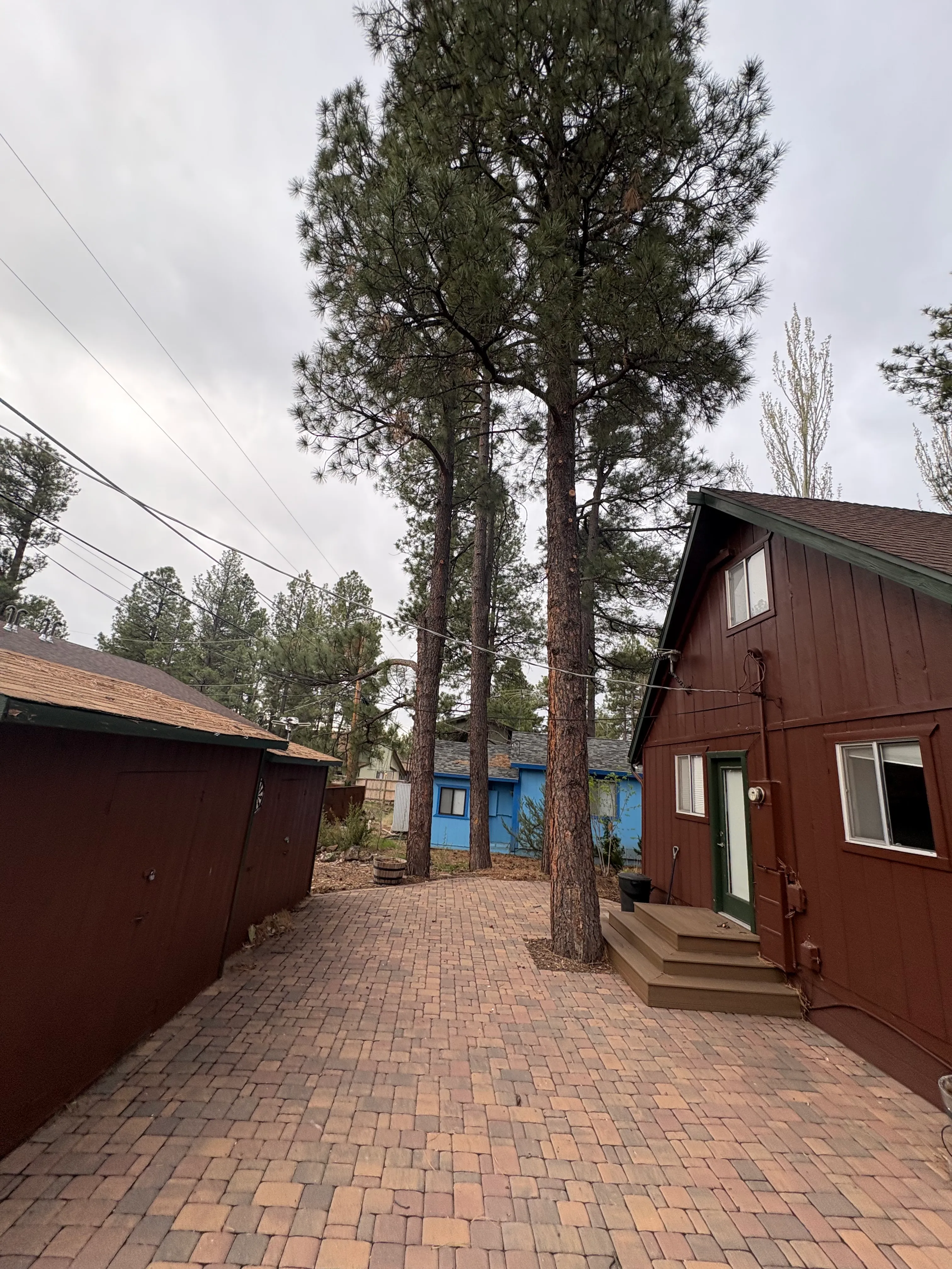 Canopy Raising — after