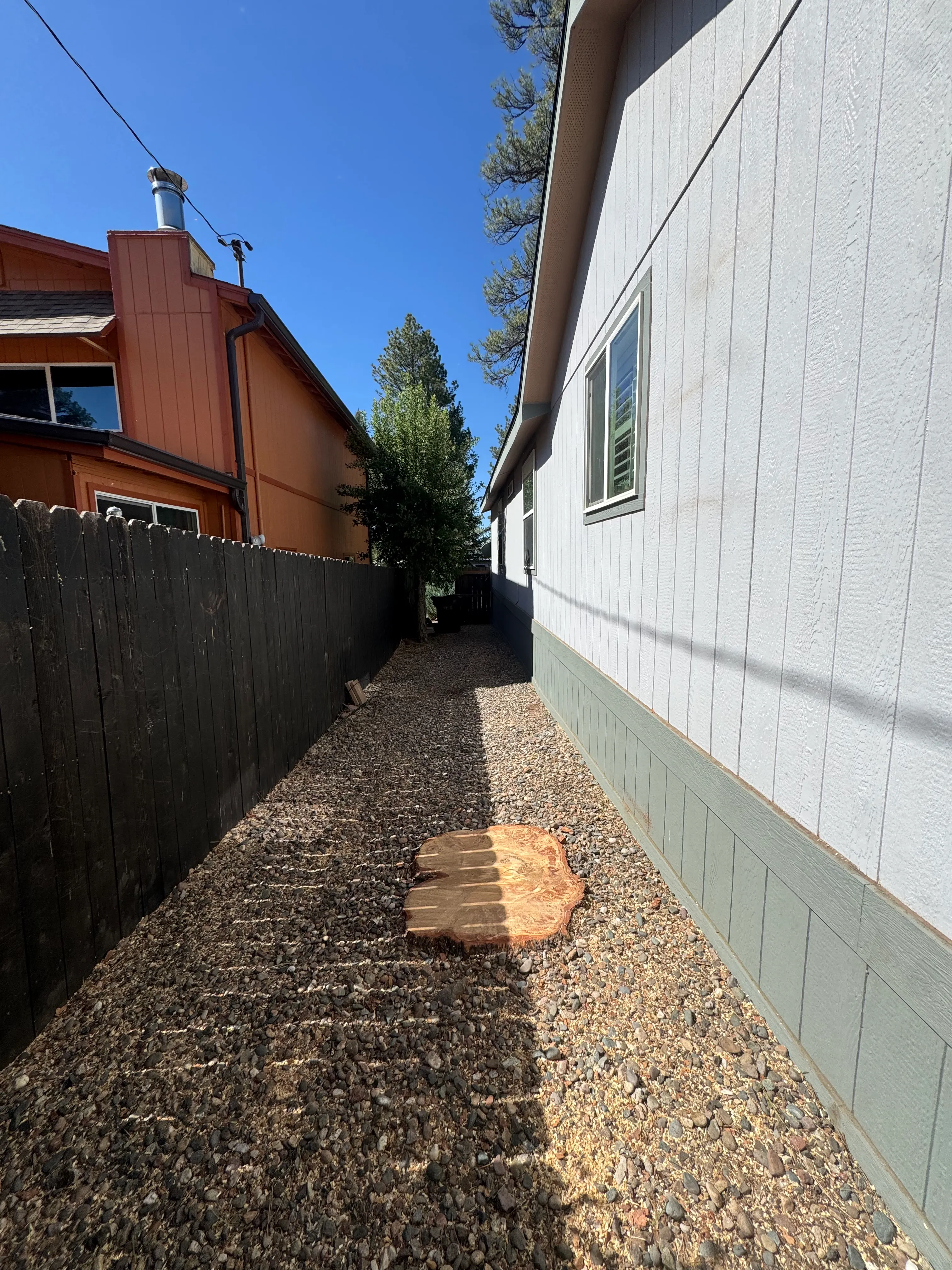 Tree Removal — after