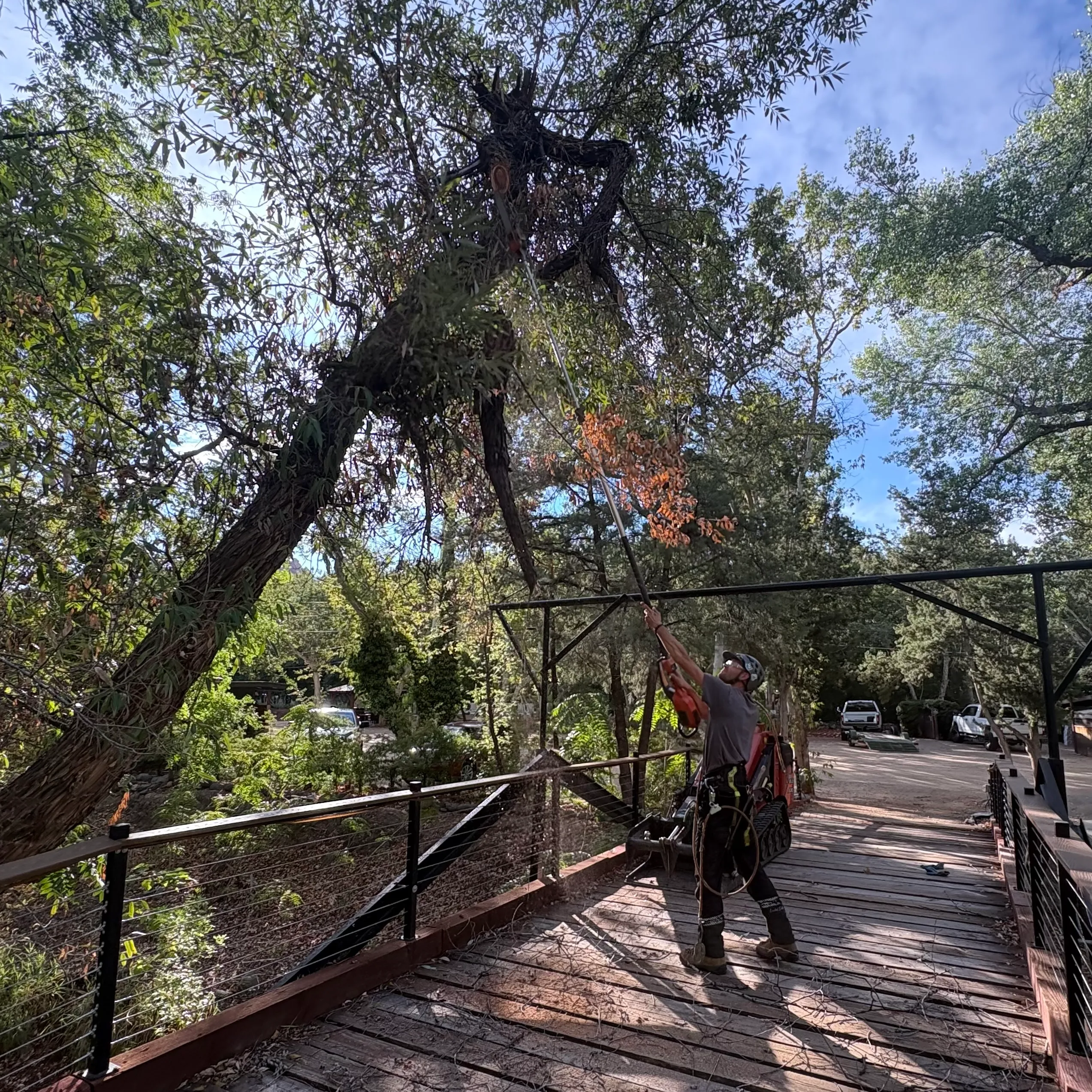 Clearing a hazard limb over a deck