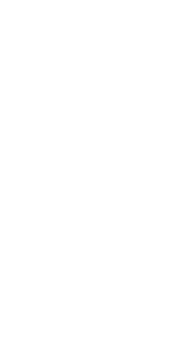 Arizona North Tree Service